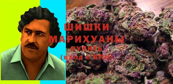 прущие грибы Алзамай