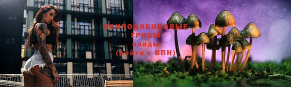 ALPHA PVP Алексеевка
