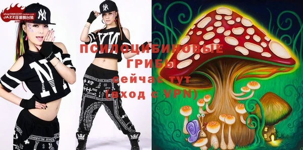шишки Алексин