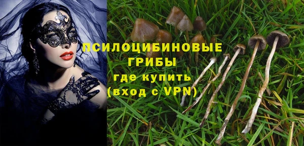 шишки Алексин