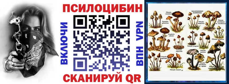 Галлюциногенные грибы мухоморы купить наркотики сайты Долгопрудный