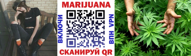 Канабис план  маркетплейс Telegram  Долгопрудный  MEGA ССЫЛКА 